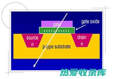 剂量适宜：主药的剂量要根据患者的年龄、体质和病情进行调整，以达到最佳治疗效果。(剂量选择)