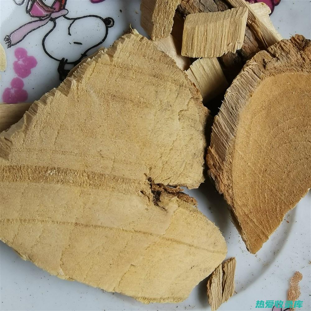 中药接骨贴：让骨折康复之路不再痛苦 (接骨贴有什么作用)