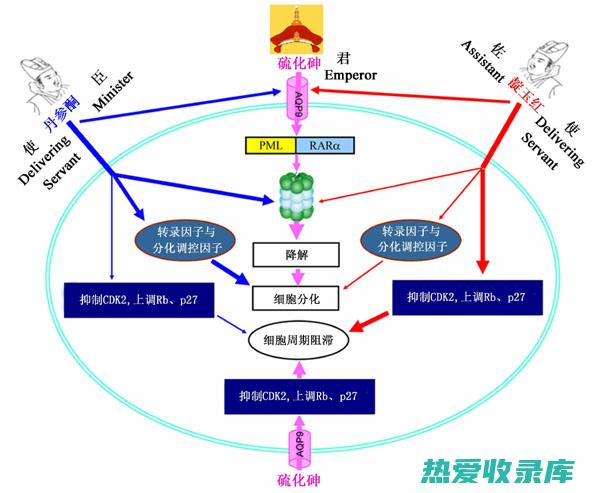 传统的强大组合