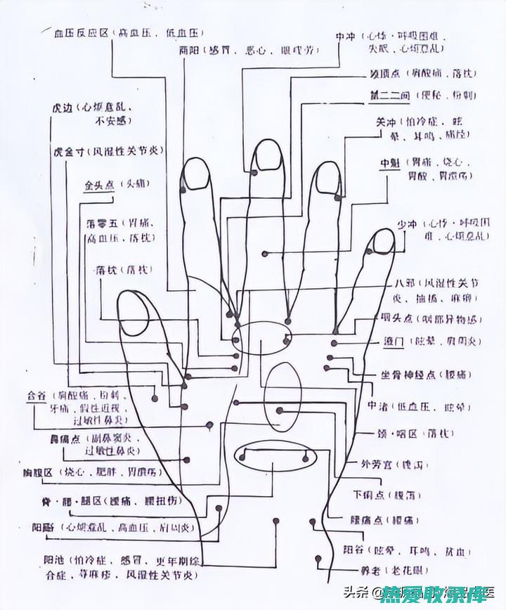 相克作用：指两种中药相互克制，降低或消除药效。如乌头与天雄、附子与甘草。(的相克搭配)