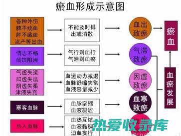 瘀血阻滞型：表现为月经量多，色紫红，经行不畅，伴有痛经，小腹包块等症状。治疗以活血化瘀为主，常用桃仁、红花、三棱等药物。(瘀血阻滞型腹痛的方剂包括)