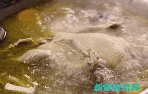 软化血管，降低血液粘稠度(软化血管降血脂的食物)