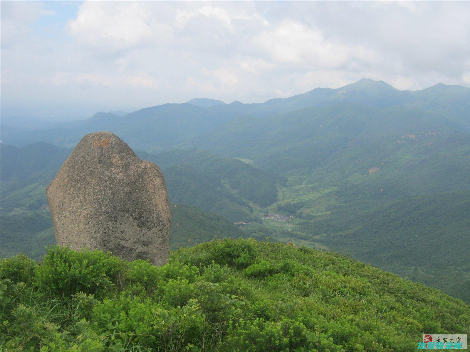 中药山芙蓉：滋补肺肾，益气生津的养生珍品 (中药山芙蓉有别名吗)