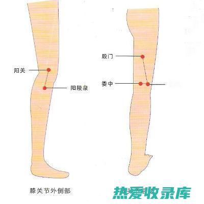 改善心脏功能：丹参中的脂溶性皂苷成分具有抗心律失常、改善心肌缺血的作用，可以增强心脏收缩力，改善心脏功能。(改善心脏功能的药物有哪些)