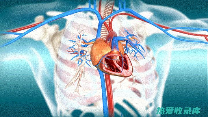 心血管反应：如心悸、胸痛、血压升高或下降等。(心血管反应指的是什么)