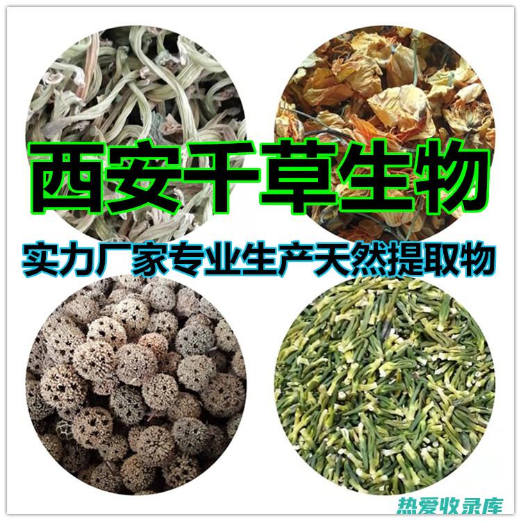 水牡丹：一味珍贵的中药材，探索其药用价值和临床应用 (水牡丹什么意思)