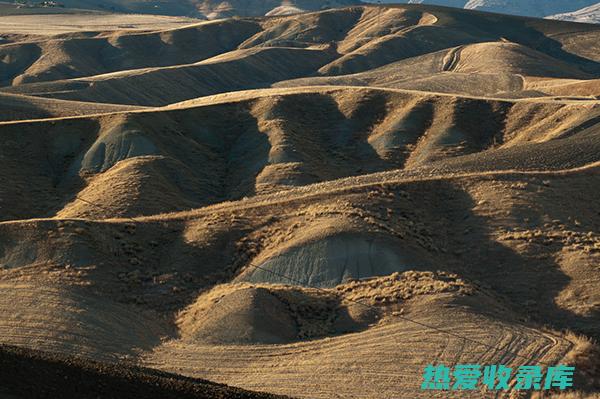 土类：如黄土、乌土、紫河车等(黄土是什么)