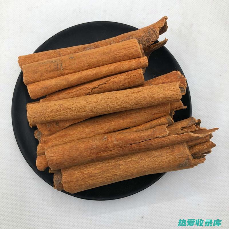 桂皮：中药中的辛味佳品 (桂皮的中医药效)