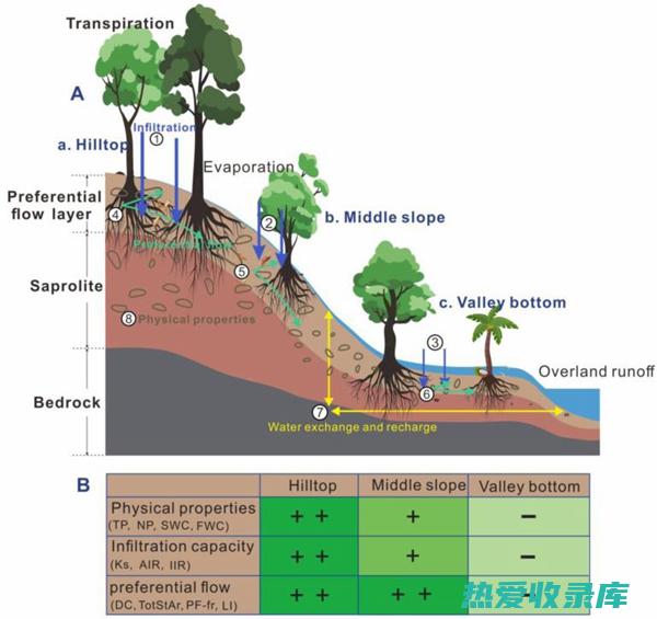 功效：利水渗湿(功效利水渗湿兼能泻热的药物是)