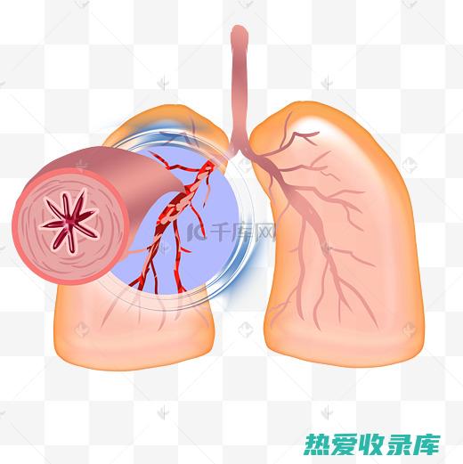 支气管疾病的中药疗法 (支气管疾病的症状)