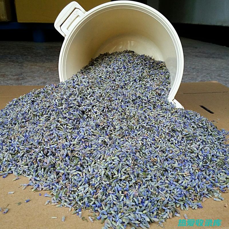 干花：干薰衣草花可用于制作香包、填充枕头或泡茶。(干花薰衣草的花语)