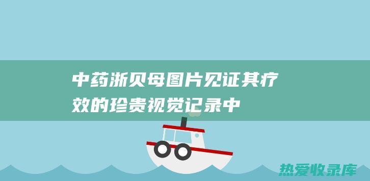 中药浙贝母图片：见证其疗效的珍贵视觉记录 (中药浙贝母图片和功效与作用)