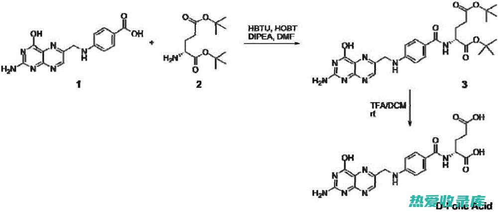 叶酸：合成DNA和红细胞所需(叶酸合成DNA)