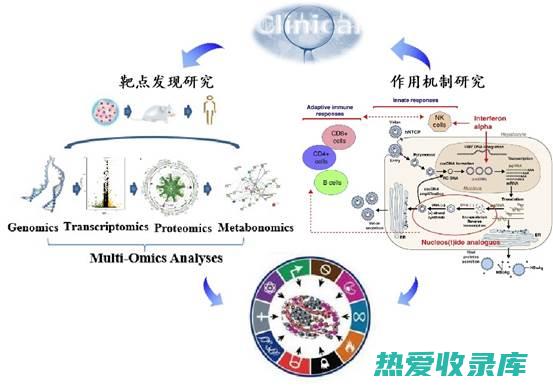 基于中医药的月经不调中药治疗方案 (基于中医药的知识问答)