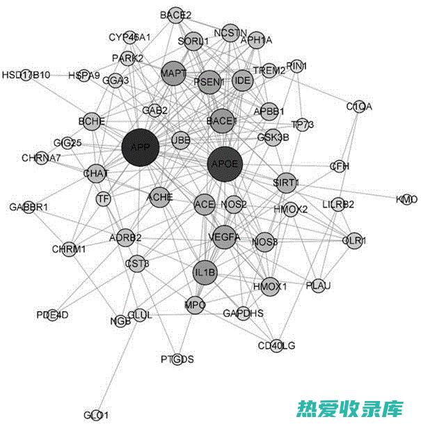 金樱子：一种珍贵的中药材，探索其药用价值和健康益处 (金樱子金樱子的功效与作用)