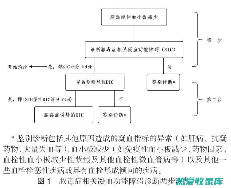 血液凝固障碍(血液凝固障碍表现为)