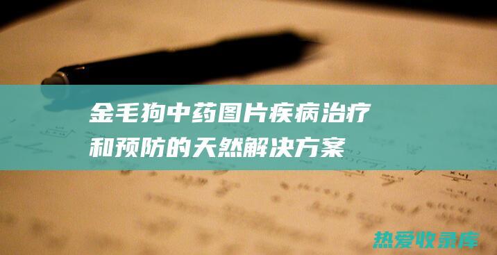 金毛狗中药图片：疾病治疗和预防的天然解决方案 (金毛狗中药图片与作用)