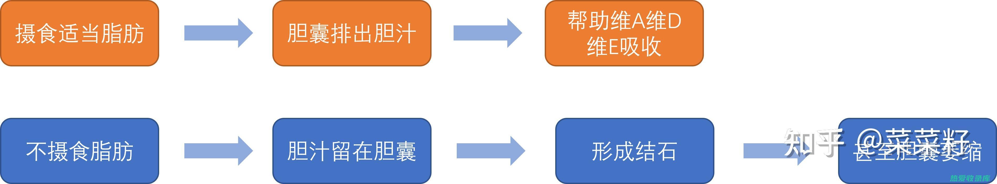 脂肪：包含各种脂肪酸(脂肪包括什么和什么)