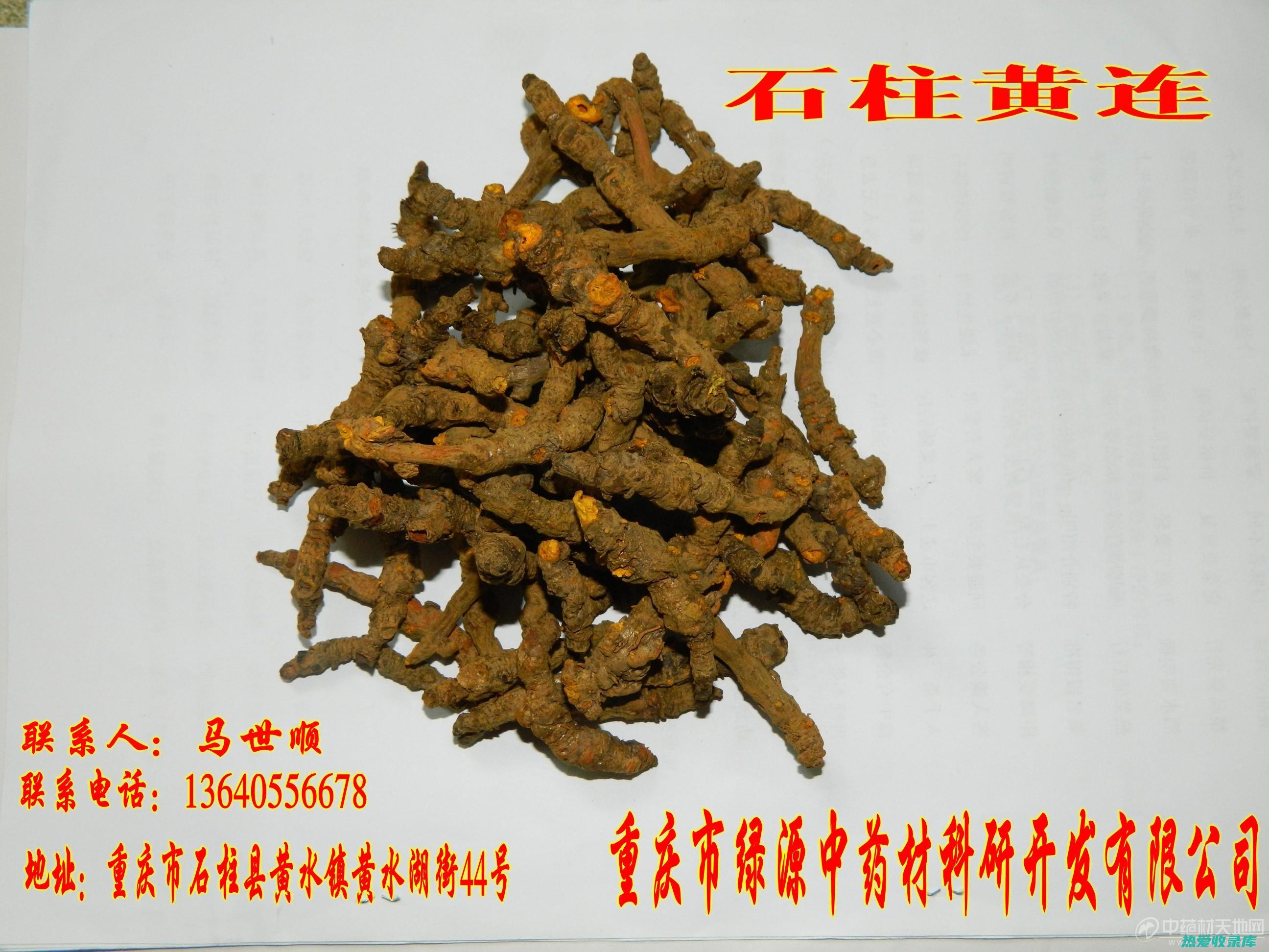 黄连 6g(黄连6g黄芩12g阿胶10g白芍15g鸡子黄2枚)