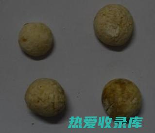 中药圆珠是什么别名