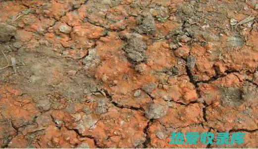 土壤条件：中药材对土壤的酸碱度、疏松度和肥力要求不一。选择适合土壤性质的品种。(土壤的条件)
