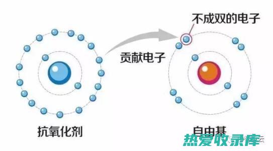 清除自由基，抗氧化：一些中药含有丰富的抗氧化剂，可以清除体内的自由基，保护皮肤细胞免受氧化损伤，从而减缓皮肤衰老，淡化色斑。(清除自由基什么意思)