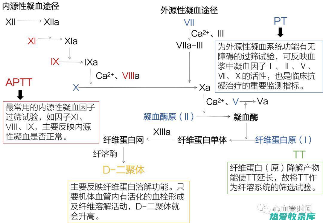 凝血功能障碍者慎用。(凝血功能障碍怎么治疗)