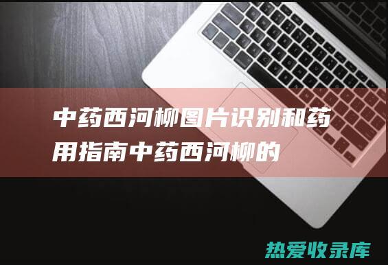 中药西河柳图片识别和药用指南中药西河柳的