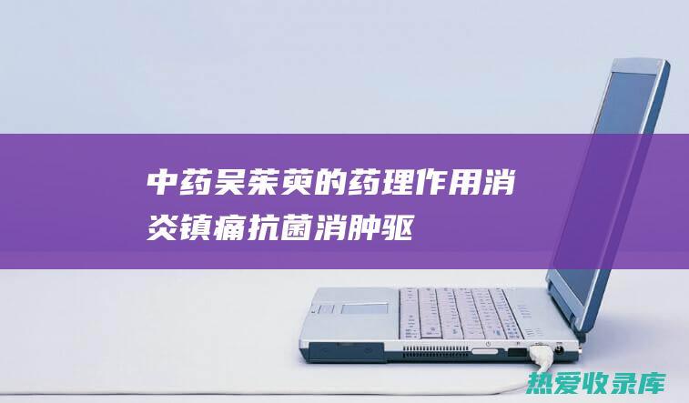 中药吴茱萸的药理作用：消炎镇痛、抗菌消肿、驱风散寒 (中药吴茱萸的图片)