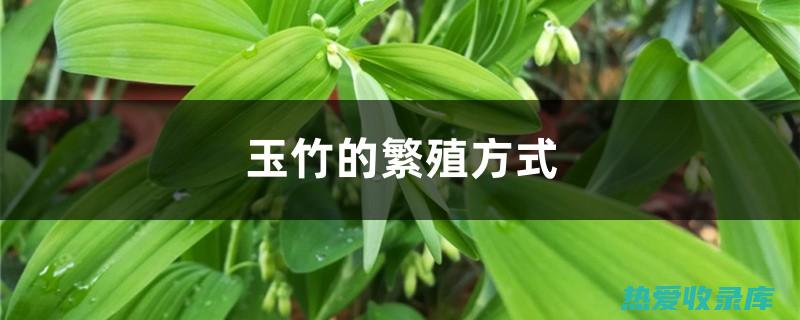 品质和年份