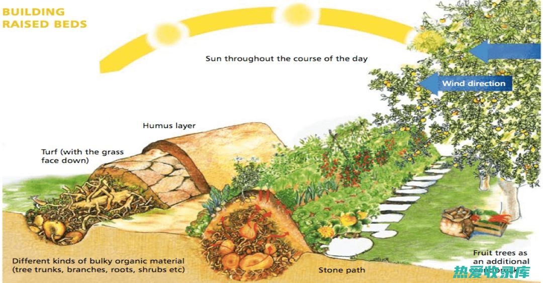 地道性：培育和生产符合传统中医学理论和实践的中药材种子种苗，传承中医药文化精髓。(地道教育)