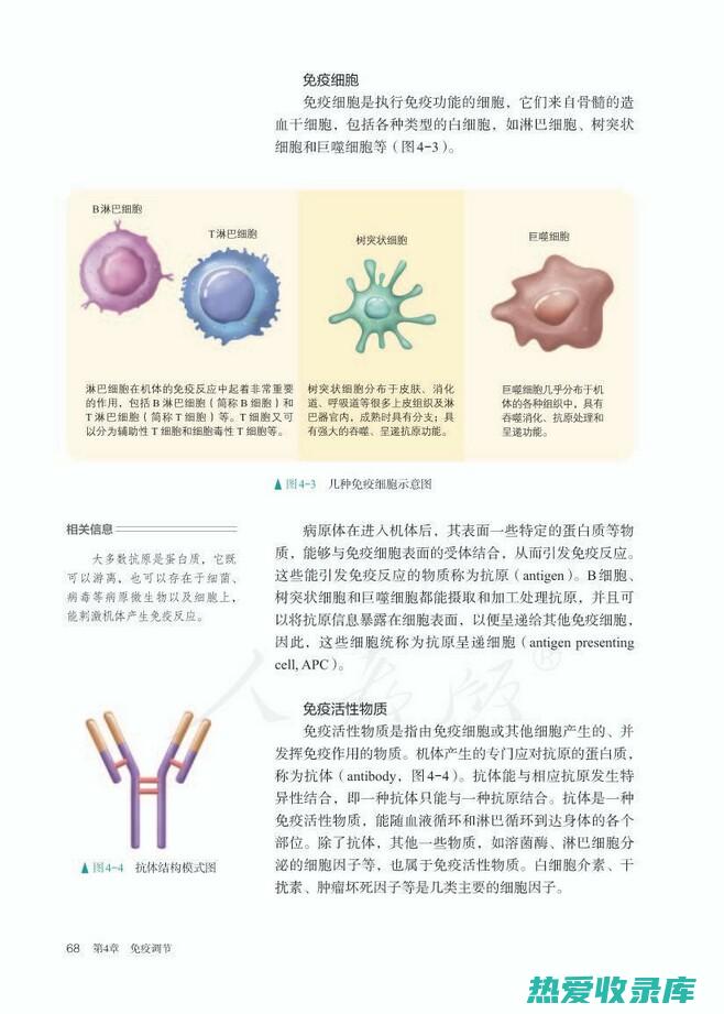 免疫功能：中药可以帮助增强免疫系统，使身体更容易抵抗传染病。(免疫功能中度下降什么意思)