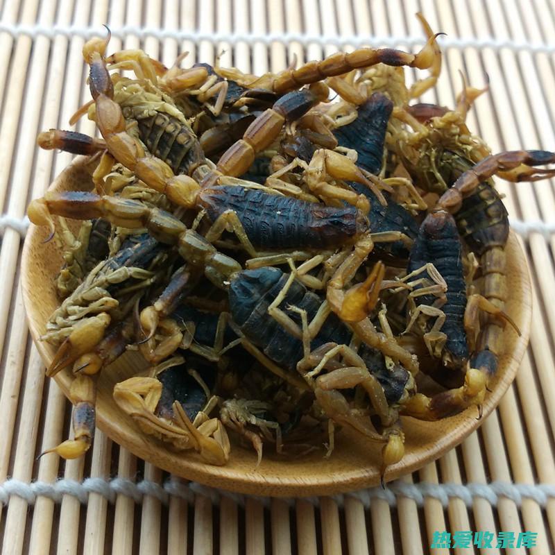 中药昆虫：传统中医中的昆虫药材 (中药材昆虫)