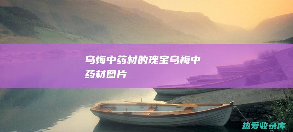 乌梅：中药材的瑰宝 (乌梅中药材图片)