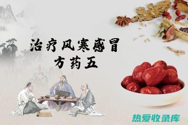 中药风寒方剂：驱逐寒邪，温热扶正 (中药风寒方剂大全)