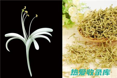 金银花连翘洗剂：金银花30g，连翘30g。将药材加水煎煮，取其药液外洗患处，每日1～2次。(金银花连翘煮水外洗的功效)