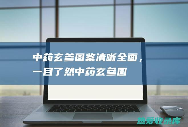 中药玄参图鉴清晰全面，一目了然中药玄参图