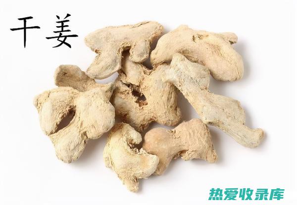 温肺化痰中药：助你击退痰湿，畅通呼吸 (温肺化痰中药材)