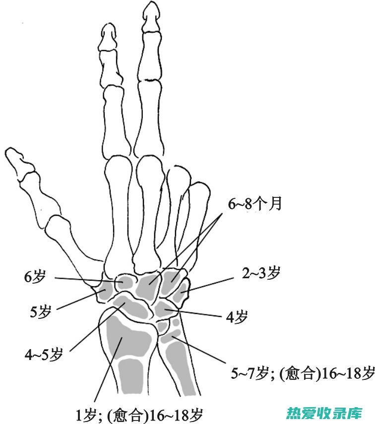 头部外伤可能导致耳部损伤