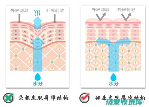 修复受损肌肤：中药蜂蜜中的营养成分可以修复受损的肌肤，促进皮肤的再生和愈合。(脸过敏后用什么来修复受损肌肤)