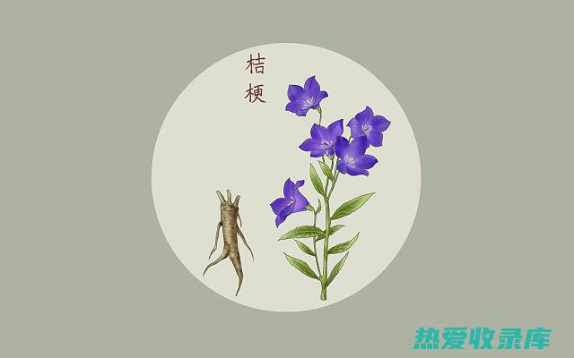 中药经典：草灵丹 (中药草薢)