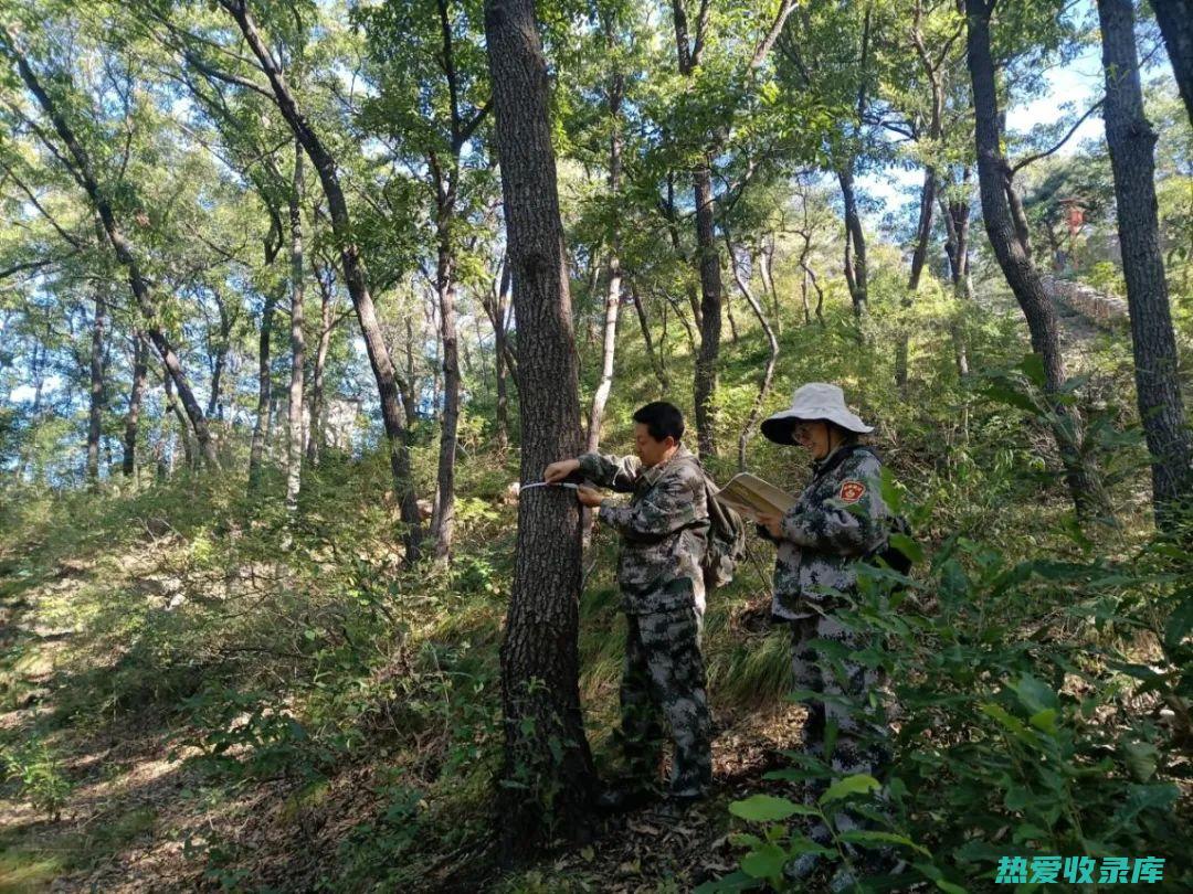 浸种：将种子浸泡在温水中24小时，促进种子吸水膨胀。(种子浸种的作用)