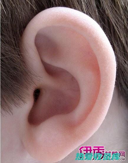治疗耳鸣的有效中药方剂 (治疗耳鸣的有哪些药)
