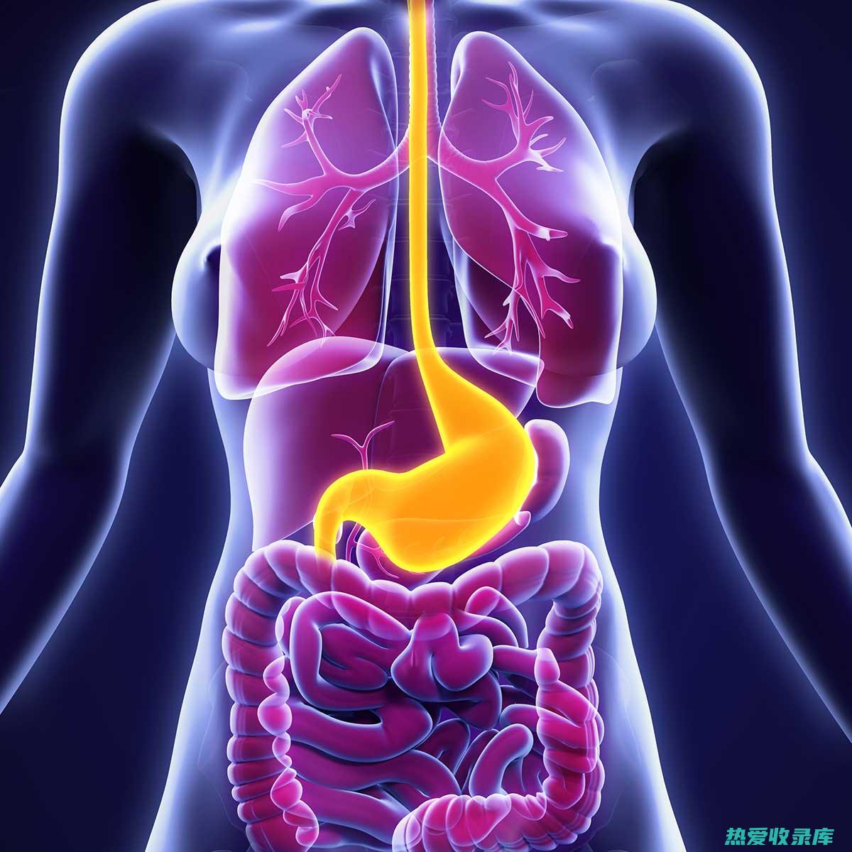 Gastritis( Gastritis )