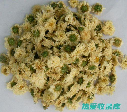 中药经典：菊花成品 (菊茞中药)