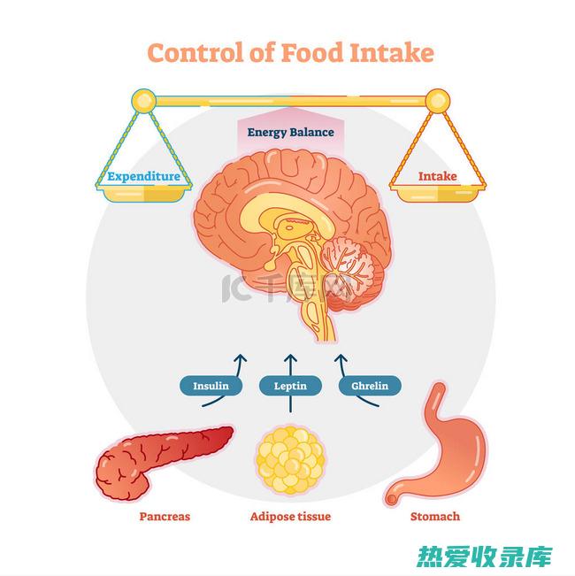 控制摄入量：乌梅富含营养，但过量食用可能会导致胃部不适。(控制摄入量)