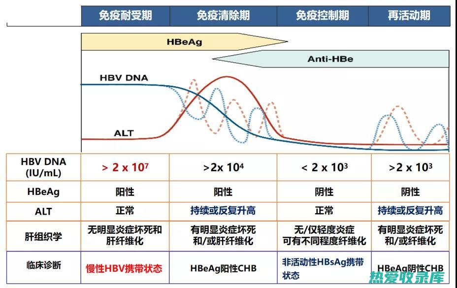 急性乙肝：中药可以帮助缩短病程，减轻症状，促进肝功能恢复。(急性乙肝中药处方)