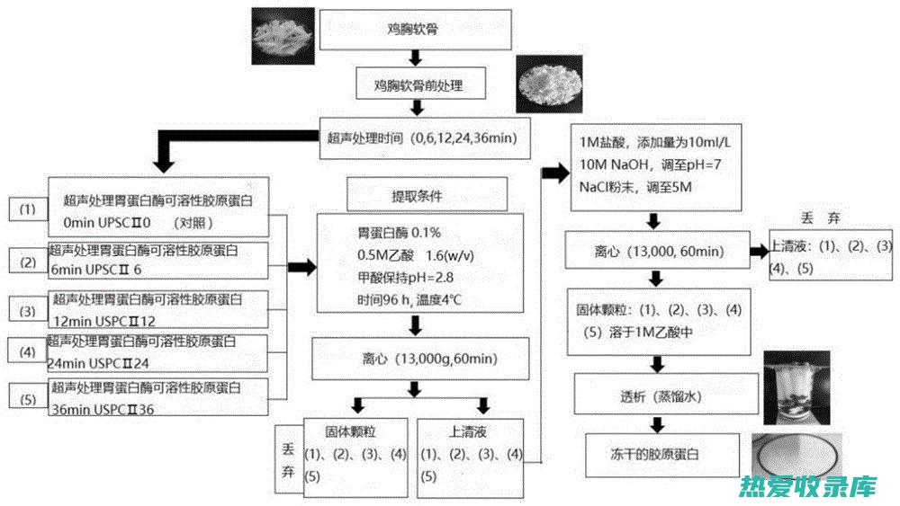 能够保持皮肤的弹性