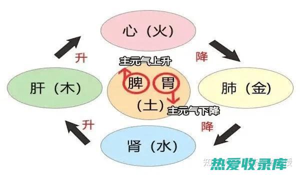 调理气机：当归、川芎等中药可以调理气机，改善气滞血瘀、胸闷气短的症状。(调理气机的中药方)