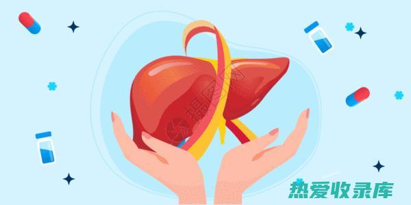 保护肝脏：红芪中的黄芪多糖具有抗氧化、抗炎和保肝护肝的作用，可以改善肝功能，保护肝细胞。(保护肝脏的)